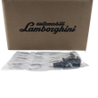 LAMBORGHINI  pulse generator  - 06M907601